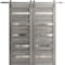 Sartodoors Sliding Closet Barn Bypass Doors 84 x 80in, Matte Black Clear Glass, Sturdy 8ft Rails LUCIA2166BBB-BLK-84 - alternate 1